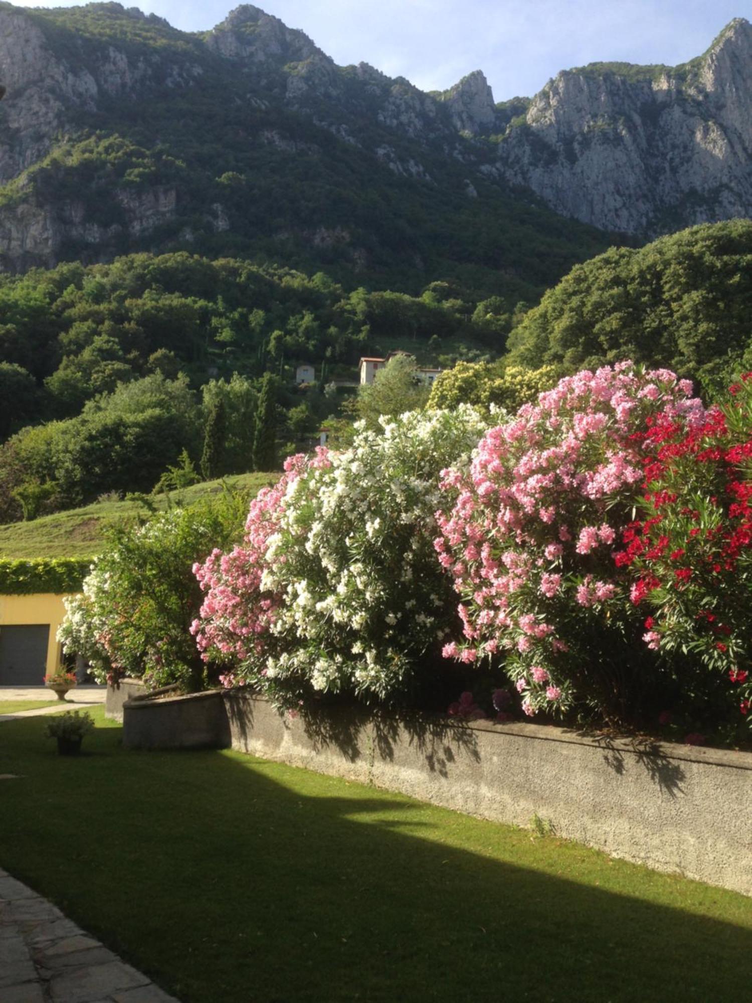 Montebello Lake Lecco Extérieur photo
